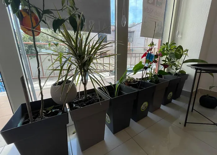 Amor_bookstore Durrës